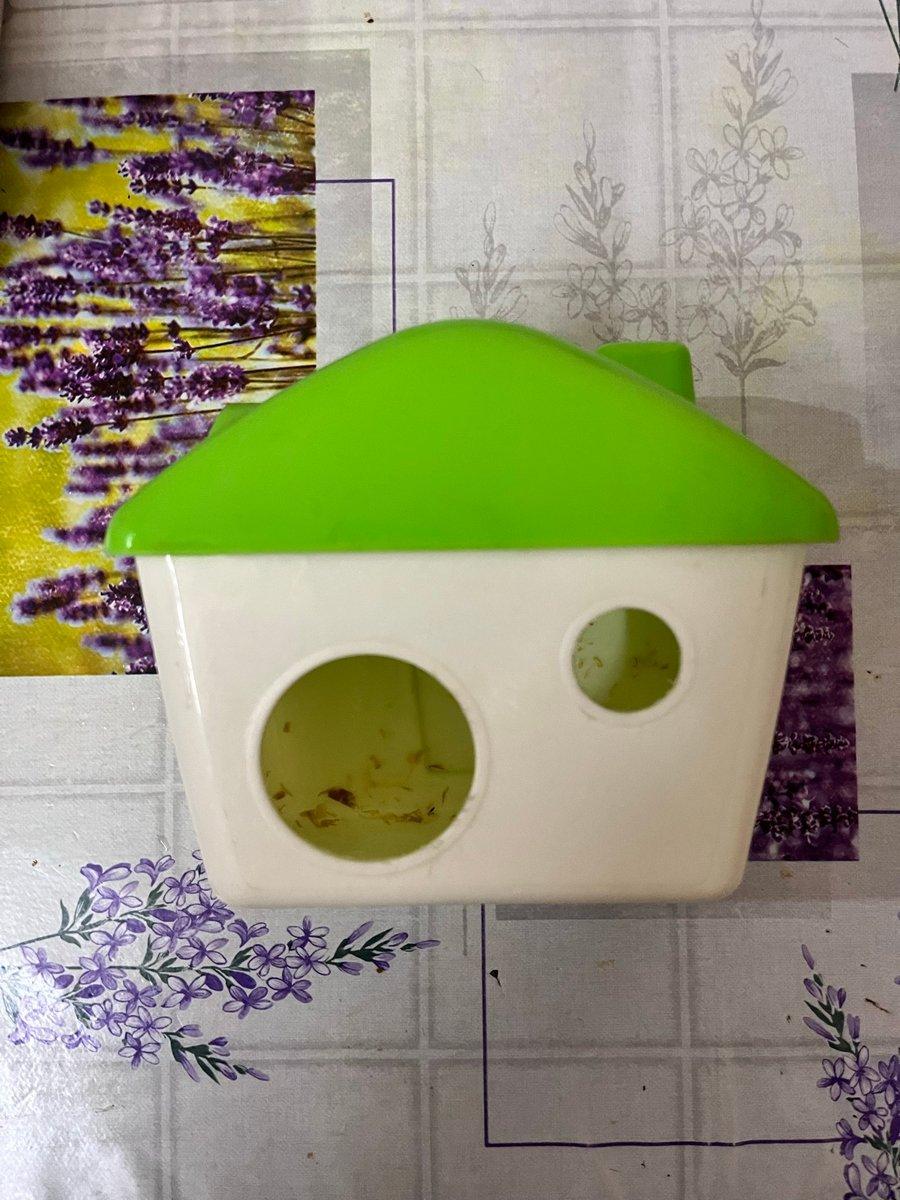 Joli Petit Hamster 🐹 A Vendre, 2/6